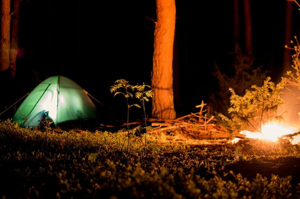 Organisez le voyage entre amis de vos rêves en 5 étapes